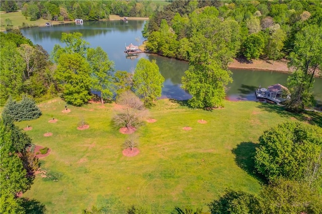 1126 Shoreline Dr, Jefferson, GA 30549 - bird's eye view of a nearby body of water
