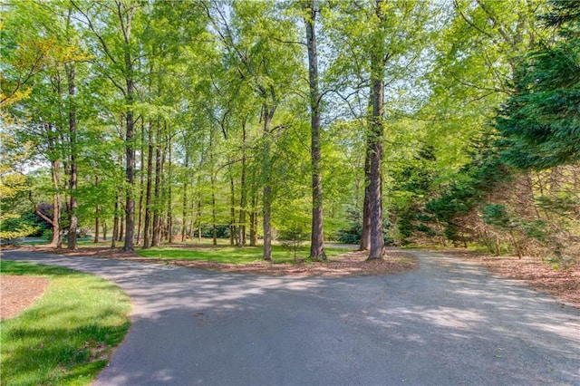 1126 Shoreline Dr, Jefferson, GA 30549 - view of road