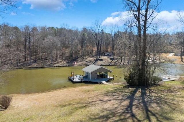 drone / aerial view with a water view and a view of trees