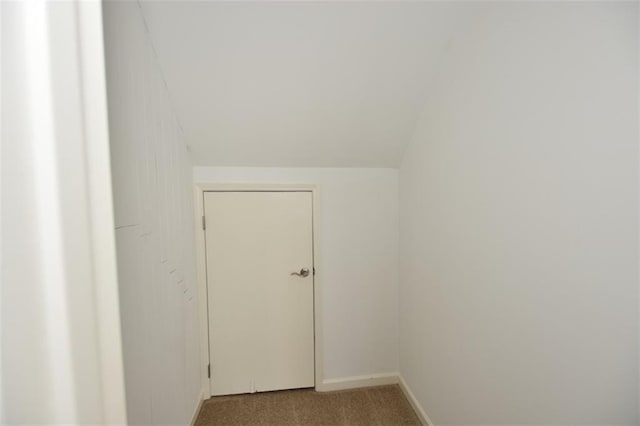 8310 Jensen Trl, Gainesville, GA 30506 - additional living space featuring carpet floors and baseboards