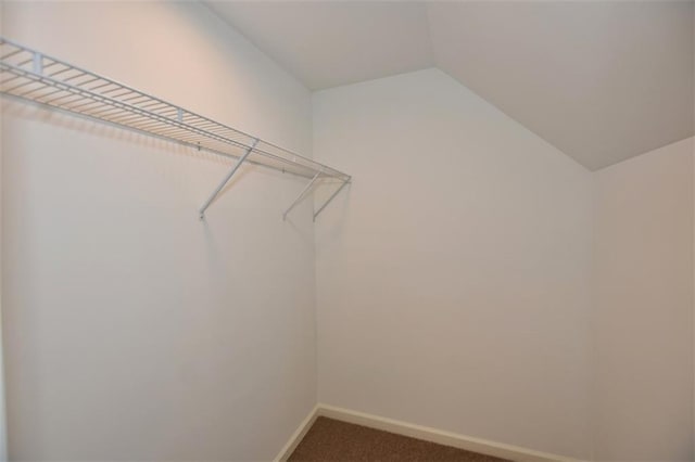 8310 Jensen Trl, Gainesville, GA 30506 - spacious closet with carpet floors and vaulted ceiling