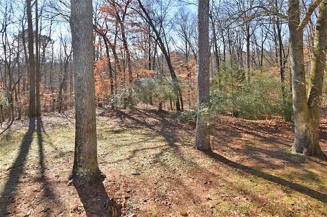 8310 Jensen Trl, Gainesville, GA 30506 - view of undeveloped land