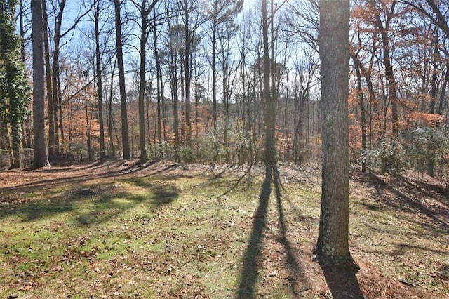 8310 Jensen Trl, Gainesville, GA 30506 - view of grassy yard featuring a forest view