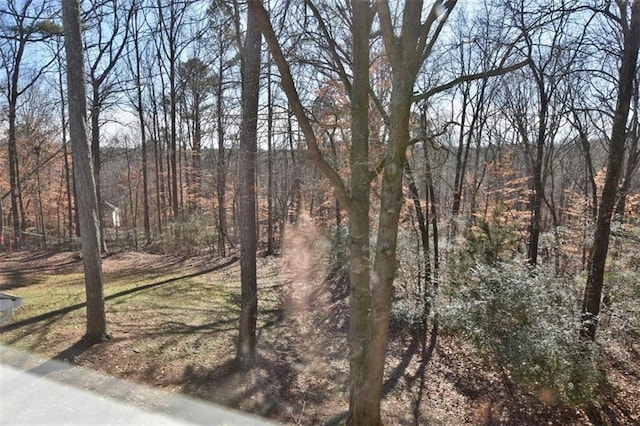 8310 Jensen Trl, Gainesville, GA 30506 - view of yard featuring a view of trees