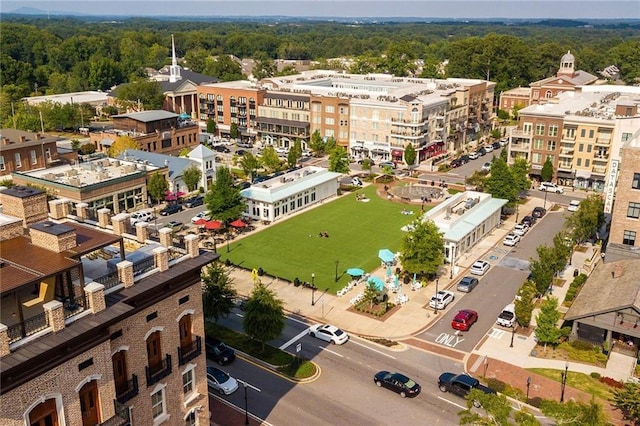 bird's eye view