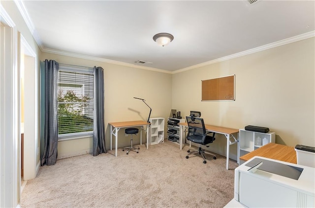 carpeted office space with crown molding