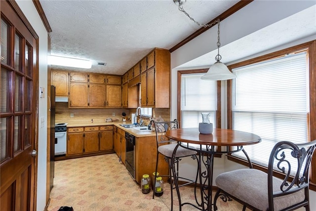 kitchen with a sink, light countertops, a textured ceiling, brown cabinetry, and black dishwasher
