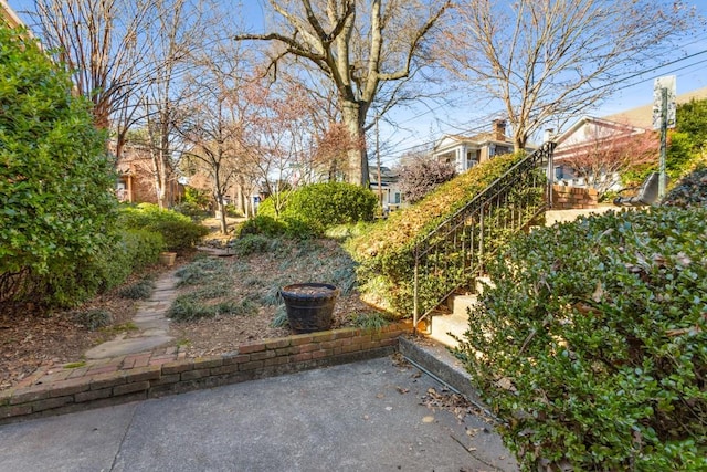 view of yard with a patio