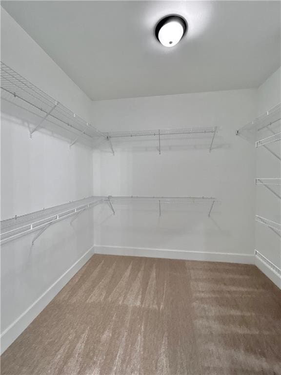 spacious closet featuring wood finished floors