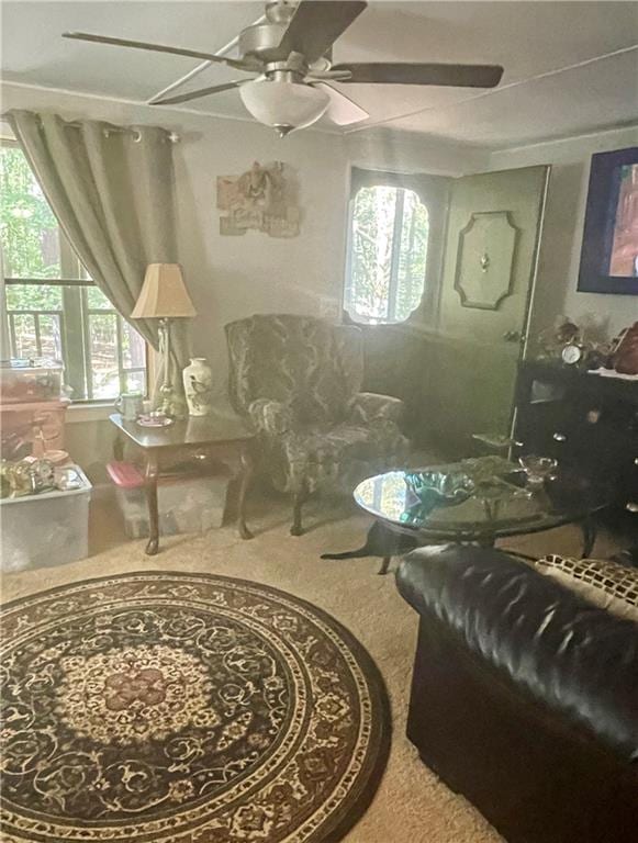 living area featuring carpet flooring and ceiling fan