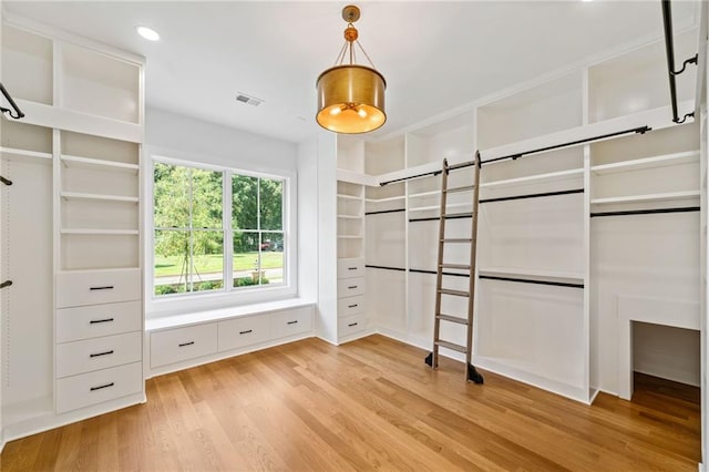 115 Baxley Ln, Alpharetta, GA 30004 - spacious closet with visible vents and light wood finished floors