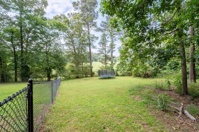 71 Seminole Trl SW, Cartersville, GA 30120 - view of yard featuring a trampoline