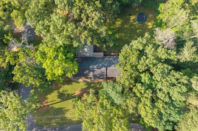 71 Seminole Trl SW, Cartersville, GA 30120 - aerial view of property's location