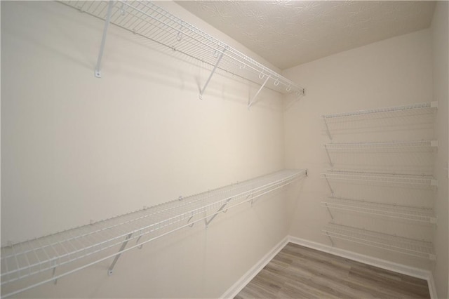 spacious closet featuring hardwood / wood-style floors