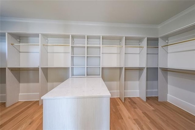 spacious closet with light wood finished floors