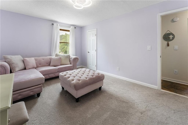 1491 Black Hickory Pl, Norcross, GA 30093 - living area with a textured ceiling, carpet, and baseboards