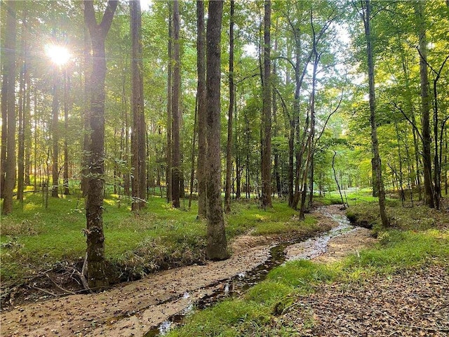 view of local wilderness with a view of trees