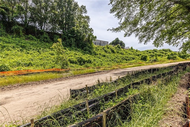399 Pratt Dr SE, Atlanta, GA 30315 - view of community with dirt driveway