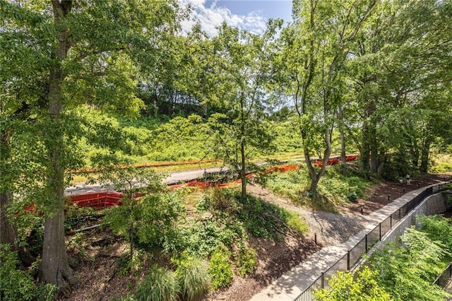 399 Pratt Dr SE, Atlanta, GA 30315 - view of yard