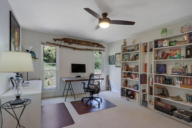 living area featuring ornamental molding, a healthy amount of sunlight, and ceiling fan