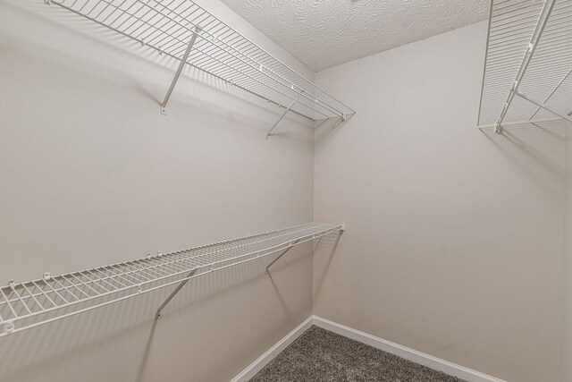 spacious closet with carpet flooring