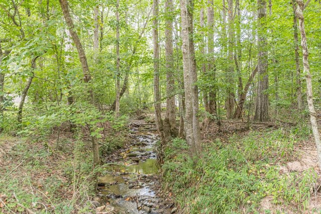 view of local wilderness