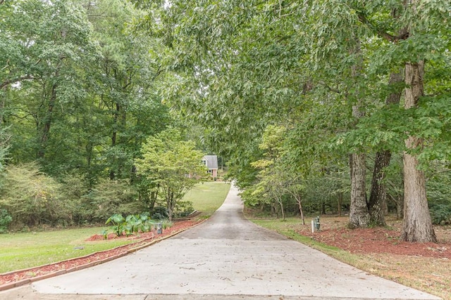 view of community featuring a yard