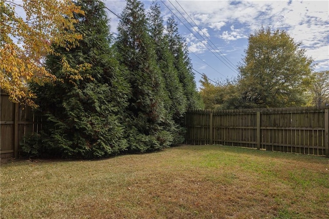 view of yard featuring a fenced backyard