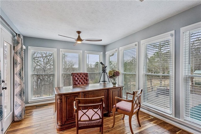 office space with light wood-type flooring, plenty of natural light, a textured ceiling, and a ceiling fan