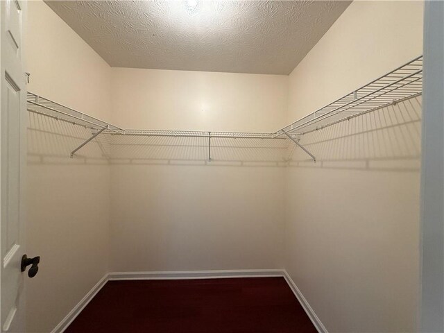 1245 Mulberry Mill Ln, Lawrenceville, GA 30043 - view of walk in closet
