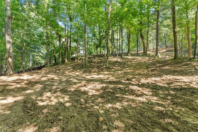 5750 Chestatee Landing Dr, Gainesville, GA 30506