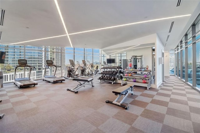 exercise room with carpet and a wall of windows