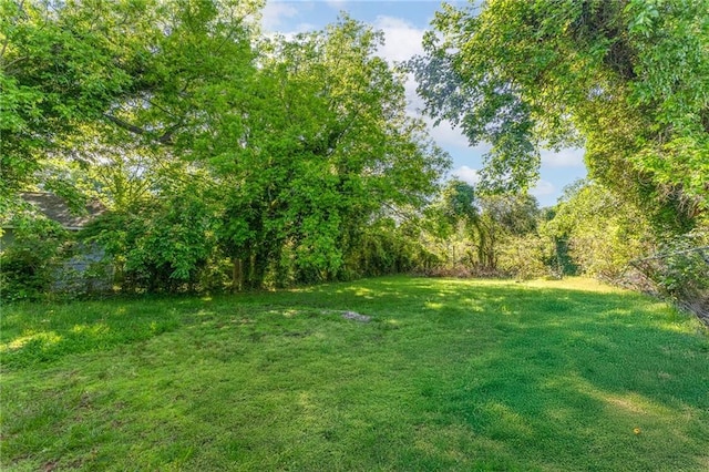 2446 Martin Luther King Jr Blvd, Gainesville, GA 30501 - view of green lawn