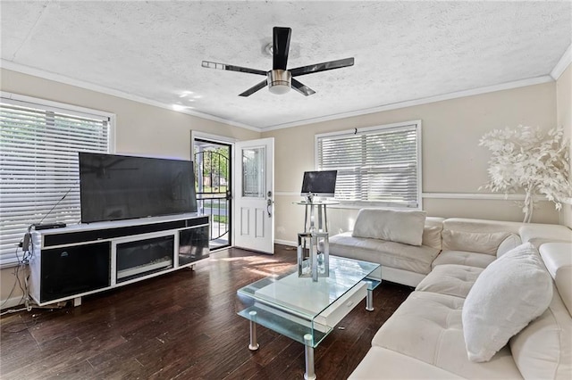 2446 Martin Luther King Jr Blvd, Gainesville, GA 30501 - living area featuring wood finished floors, ceiling fan, healthy amount of natural light, ornamental molding, and a textured ceiling