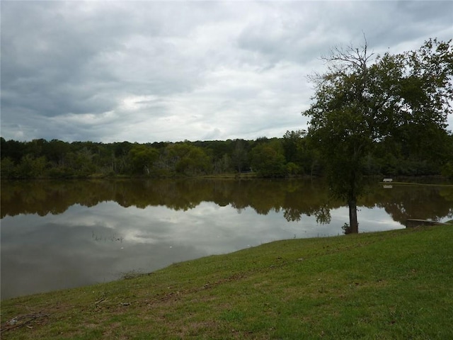 view of water feature featuring a forest view