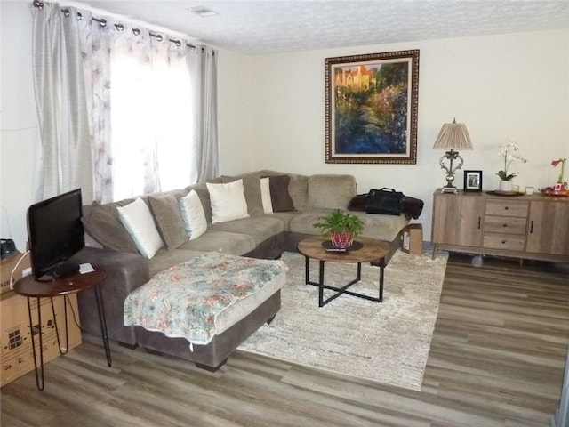 living room featuring a textured ceiling and wood finished floors