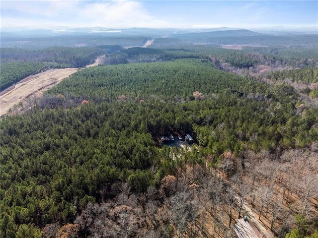 view of bird's eye view