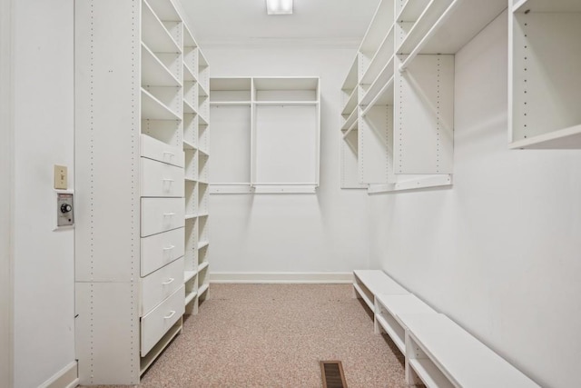 spacious closet with carpet floors