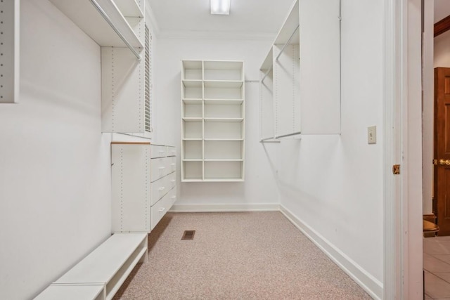 spacious closet featuring carpet flooring