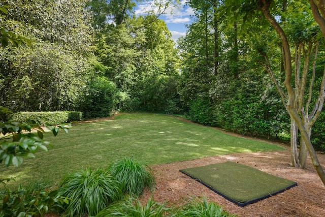 view of grassy yard