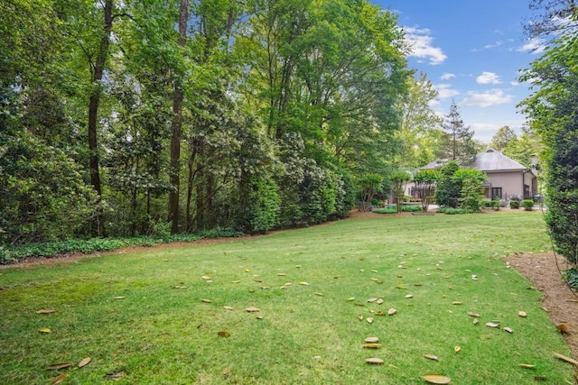 view of grassy yard
