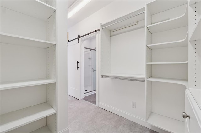 37 Long Branch Way, Dahlonega, GA 30533 - spacious closet featuring carpet flooring and a barn door