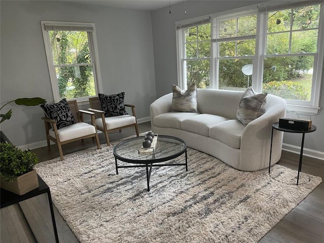 living room featuring dark hardwood / wood-style flooring