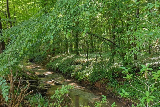 4717 Westhampton Dr, Tucker, GA 30084 - view of nature