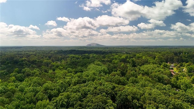 4717 Westhampton Dr, Tucker, GA 30084 - mountain view featuring a heavily wooded area