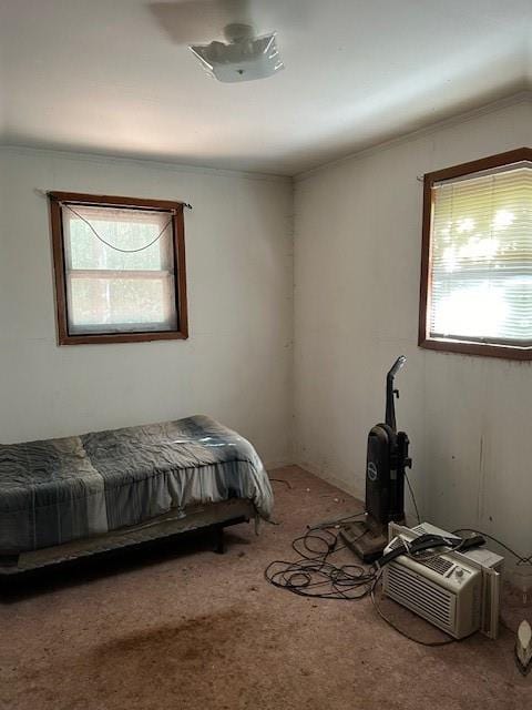 carpeted bedroom featuring multiple windows