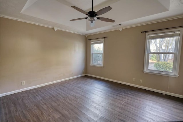 empty room featuring dark wood-type flooring, plenty of natural light, and a raised ceiling