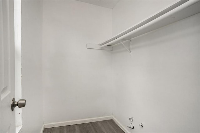 spacious closet featuring dark wood-type flooring