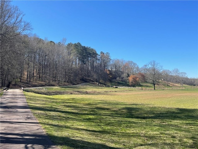 view of home's community with a yard