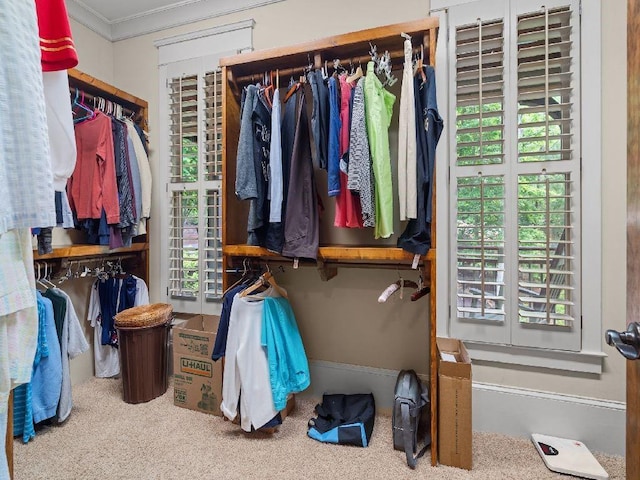 46 Bee Balm Way, Big Canoe, GA 30143 - walk in closet with carpet flooring